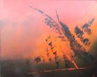 Artiste Pierre-Alain Troyon
